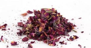 Mélange de bleuet séchés comestibles » cornflower red petals »