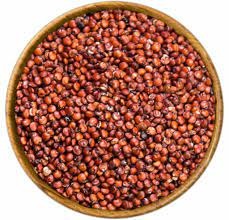 Quinoa rouge