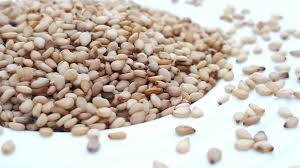 Graines de sésame blanc - Image 3